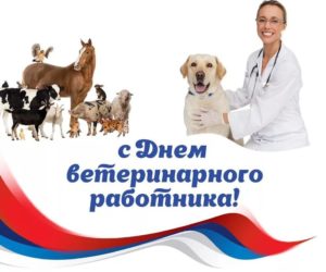 Read more about the article С днём ветеринарного работника!